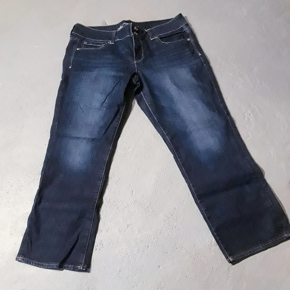 American Eagle Outfitters Artist Jean's sz-14